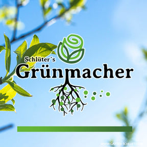 Schlüter's Grünmacher